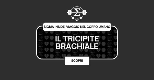 Il Tricipite Brachiale