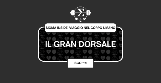 Il Gran Dorsale
