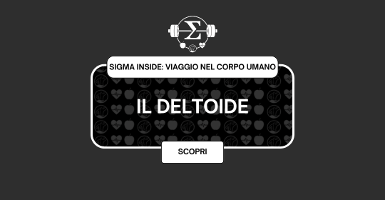 Il Deltoide