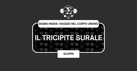Il Tricipite Surale