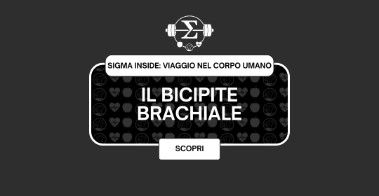 Il Bicipite Brachiale